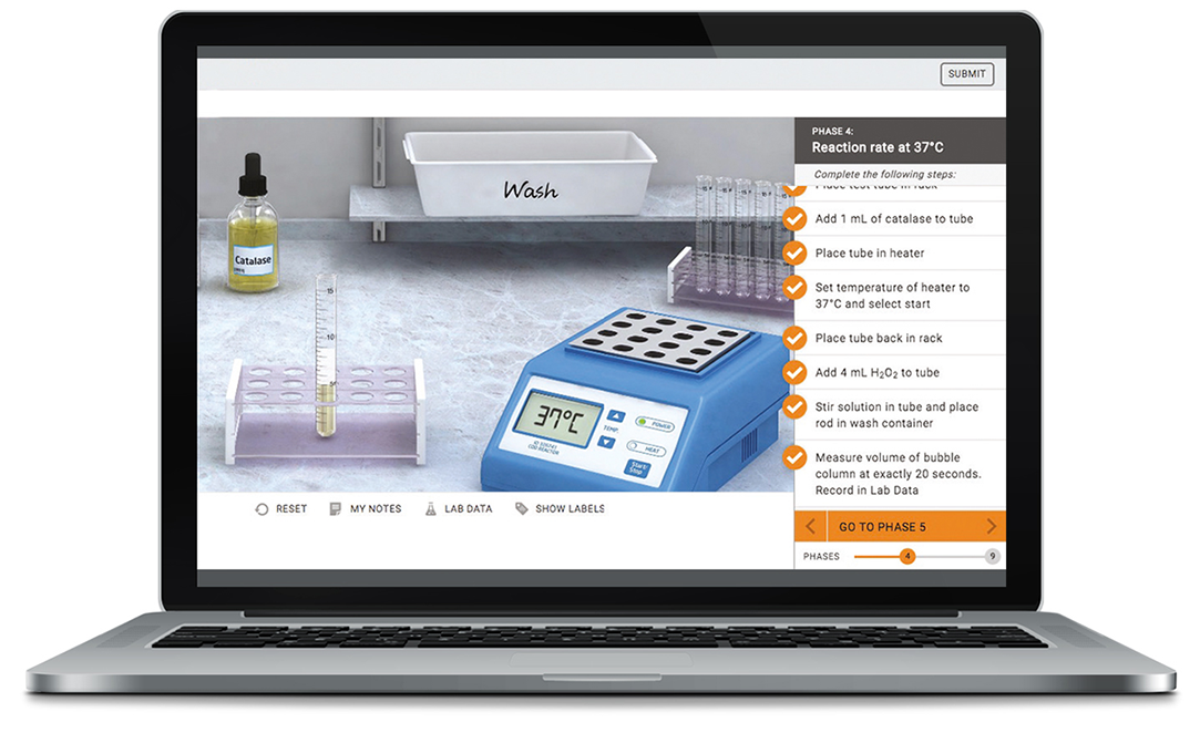 Virtual Labs